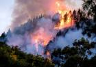 LOS INCENDIOS FORESTALES EXTREMOS SE HAN DUPLICADO EN LOS ÚLTIMOS 20 AÑOS