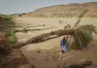CAMBIO CLIMÁTICO: LA INTELIGENCIA ARTIFICIAL, UNA PROMESA CONVERTIDA EN AMENAZA 