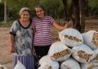 HARINA DE ALGARROBA: PRODUCTO ESTRELLA DE EL IMPENETRABLE QUE CONQUISTA MERCADOS