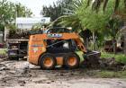 NUEVOS TRABAJOS DE RECOLECCIÓN DE RAMAS Y PERFILADO DE CALLES EN LA CIUDAD 