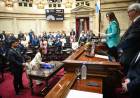 SILVANA SCHNEIDER JURÓ COMO SENADORA NACIONAL