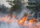 EL MINISTERIO DE SEGURIDAD DIJO QUE IDENTIFICIARÁ Y JUZGARA A LOS RESPONSABLES DE LOS INCENDIOS
