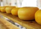 AGRICULTURA LANZÓ EL PROCESO PARA RECONOCER AL QUESO DE TAFÍ DEL VALLE COMO INDICACIÓN GEOGRÁFICA