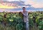 RÉCORD: COOPERATIVA ACOPIA 12.000 TONELADAS Y CELEBRA LA CAMPAÑA GIRASOLERA