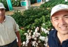 EL INTA PRESENTÓ EN EXPOAGRO LA VARIEDAD DE FIBRA EXTRALARGA ALHUE