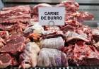 CORTES DE BURRO EN CARNICERÍAS: SORPRESA, CONSULTAS Y ADVERTENCIAS EN EL CHACO