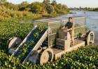 TRES JÓVENES DISEÑARON UNA REVOLUCIONARIA MÁQUINA PARA TERMINAR CON LA PLAGA DE CAMALOTES EN EL NEA
