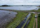 ECONOMÍA DECLARÓ LA EMERGENCIA AGROPECUARIA EN VARIOS DEPARTAMENTOS DE SANTA FE POR INUNDACIONES