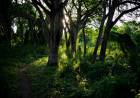 CAMPING LA FIDELIDAD, LA AVENTURA DE ALOJARSE EN LA NATURALEZA DE EL IMPENETRABLE