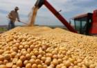PESE A LA COSECHA RÉCORD, EL CAMPO LIQUIDÓ MENOS: LOS DETALLES DEL INFORME