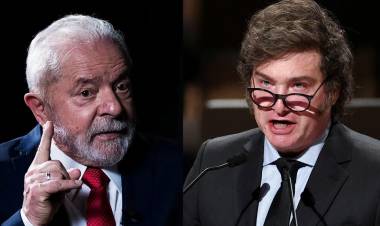 MILEI NO VA AL MERCOSUR PERO VIAJA A BRASIL PARA VER A BOLSONARO