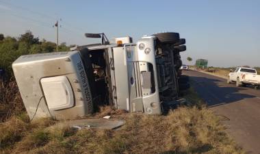 SAN BERNARDO: VOLCÓ UN CAMIÓN QUE TRASLADABA ANIMALES VACUNOS