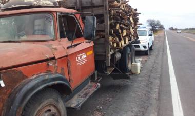 EN CAMION FUE RETENIDO CON 6000 KILOGRAMOS DE LEÑA MEZCLA