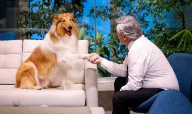 MILEI LE OFRECIÓ A ALBERTO FERNÁNDEZ ADOPTAR A SU PERRO DYLAN