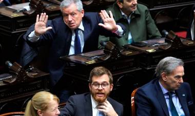 DERROTA EN DIPUTADOS, CAOS EN EL BLOQUE LIBERTARIO Y UNA DENUNCIA POR VIOLENCIA DE GÉNERO