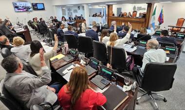 SE RESOLVIÓ UN CUARTO INTERMEDIO HASTA EL LUNES PARA TRATAR LA EMERGENCIA ELÉCTRICA