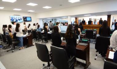 EDUCACIÓN: ESTUDIANTES DEBATIERON SOBRE ALIMENTACIÓN SALUDABLE, SALUD MENTAL Y BECAS EN EL PODER LEGISLATIVO JUVENIL