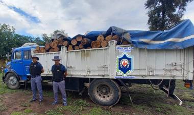 POLICÍA RURAL SECUESTRA MADERA Y DETIENE A CAZADORES FURTIVOS