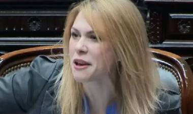 EL DEBATE DE FICHA LIMPIA REABRIÓ LA INTERNA LIBERTARIA