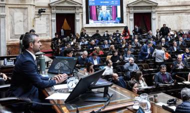 PESE A LAS CRÍTICAS, MENEM ACARICIA SU REELECCIÓN EN DIPUTADOS