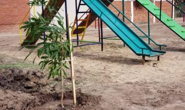 LA MUNICIPALIDAD DE VILLA ÁNGELA AVANZA CON LA FORESTACIÓN Y PARQUIZACIÓN EN LA PLAZA DEL BARRIO CÁMARA DE COMERCIO