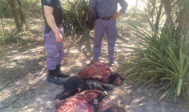 OPERATIVO DE PREVENCIÓN TERMINA CON EL SECUESTRO DE CARNE DE DUDOSA PROCEDENCIA