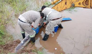 COLONIA ABORIGEN EL PASTORIL: SAMEEP EJECUTA TAREAS PARA LLEGAR CON AGUA POTABLE A LOS HOGARES
