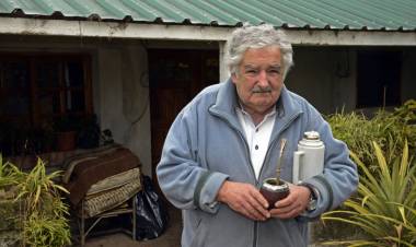 SILENCIO DE JAVIER MILEI, UN ESCUETO MENSAJE DE CANCILLERÍA Y EL ODIO DEL GORDO DAN