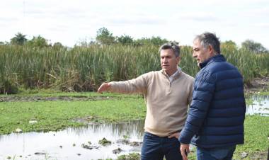 REPAVIMENTACIÓN DE LA AV. 9 DE JULIO: CONTINÚAN LOS TRABAJOS DE LIMPIEZA EN LAGUNAS Y CANALES DE LA LIGURI