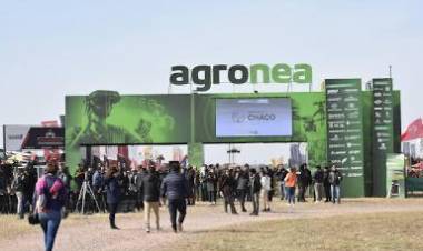 EL GOBIERNO PROVINCIAL GARANTIZA Y TRABAJA EN UNA EXPO AGRONEA 2025 SEGURA