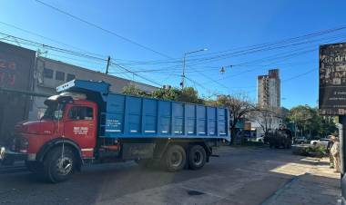 SECHEEP REFUERZA EL ALUMBRADO PÚBLICO CON TAREAS DE PODA RESPONSABLE EN EL CENTRO Y BARRIOS DEL GRAN RESISTENCIA