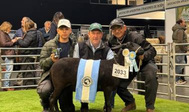 CHACO HIZO HISTORIA EN PALERMO: CABAÑAS CHAQUEÑAS BRILLARON EN LA EXPO RURAL 2025