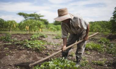 CRÍTICA A LA BAJA DE LAS RETENCIONES