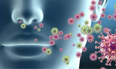 EL VIRUS SINCICIAL RESPIRATORIO PUEDE TENER UN FUERTE IMPACTO EN PERSONAS CON ENFERMEDADES DEL CORAZÓN