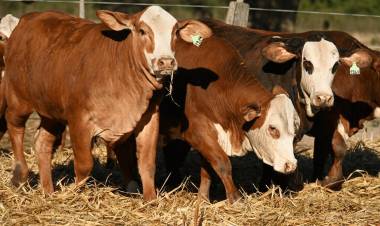 NACIONAL PRIMAVERA BRAFORD: CHACO SERÁ SEDE NUEVAMENTE