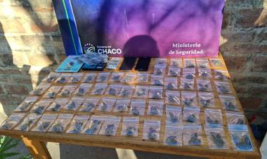 TRAS ALLANAMIENTOS DESBARATAN VIVERO CANNABICO Y BUNKER: SECUESTRARON MAS DE UN KILO DE MARIHUANA