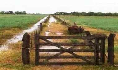 EN EL INTERIOR FALTA LLUVIA, SALVO EN EL SUDOESTE