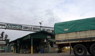 DOS OFERTAS DISPUTAN EL CONTROL DE VICENTIN