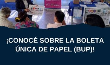BOLETA ÚNICA DE PAPEL (BUP) Y MEDIDAS DE ACCESIBILIDAD ELECTORAL 2025 PARA PERSONAS CON DISCAPACIDAD