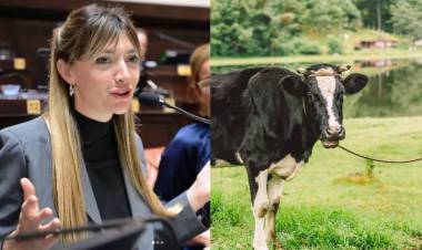 UNA DIPUTADA KIRCHNERISTA QUIERE COBRAR IMPUESTO A LOS FLATOS Y ERUCTOS DE LAS VACAS
