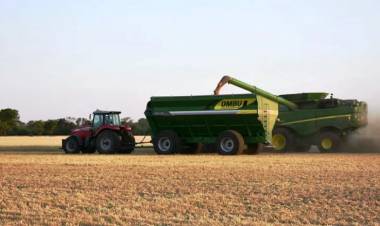 EL GOBIERNO CONFIRMÓ DATOS DE SIEMBRA DE LA COSECHA FINA Y DE GIRASOL