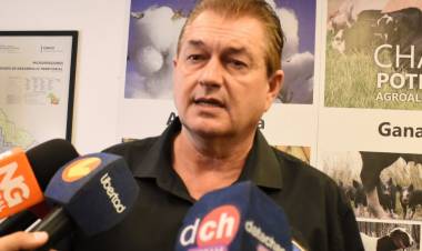 DUDIK ADVIERTE QUE LA CAUTELAR DEJA AL CHACO SIN UN MARCO LEGAL PARA CUIDAR EL AMBIENTE Y PARALIZA LA ACTIVIDAD FORESTAL