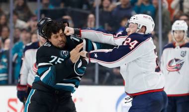 INSÓLITO: UN JUGADOR NOQUEÓ A SU RIVAL DE UNA TROMPADA EN UN PARTIDO DE HOCKEY SOBRE HIELO
