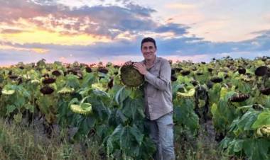 RÉCORD: COOPERATIVA ACOPIA 12.000 TONELADAS Y CELEBRA LA CAMPAÑA GIRASOLERA