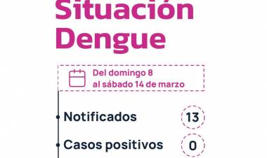 CHACO SIN CASOS DE DENGUE: REFUERZAN LAS MEDIDAS DE PREVENCIÓN