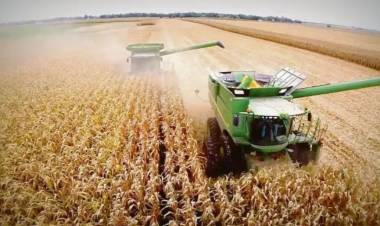 EL ESTADO SE QUEDA CON EL 62,5? LA RENTA AGRÍCOLA Y LA GUERRA DE MEDIO ORIENTE IMPACTÓ EN LOS COSTOS