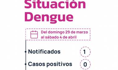 CHACO SIN CASOS DE DENGUE: SALUD REFUERZA LA PREVENCIÓN Y EL CONTROL EN TODA LA PROVINCIA