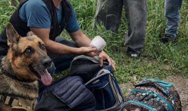 CHACO REFUERZA LOS OPERATIVOS ANTIDROGAS Y AFIANZA RESULTADOS CONTRA EL NARCOTRÁFICO