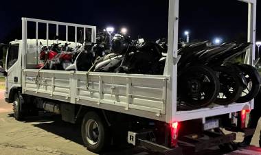 QUÉ LEYES PERMITEN AVANZAR EN EL SECUESTRO Y LA DESTRUCCIÓN DE ESCAPES "LIBERADOS"