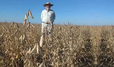 "TENEMOS MÁS PRODUCCIÓN, PERO TENEMOS MENOS PRODUCTORES", ADVIERTEN